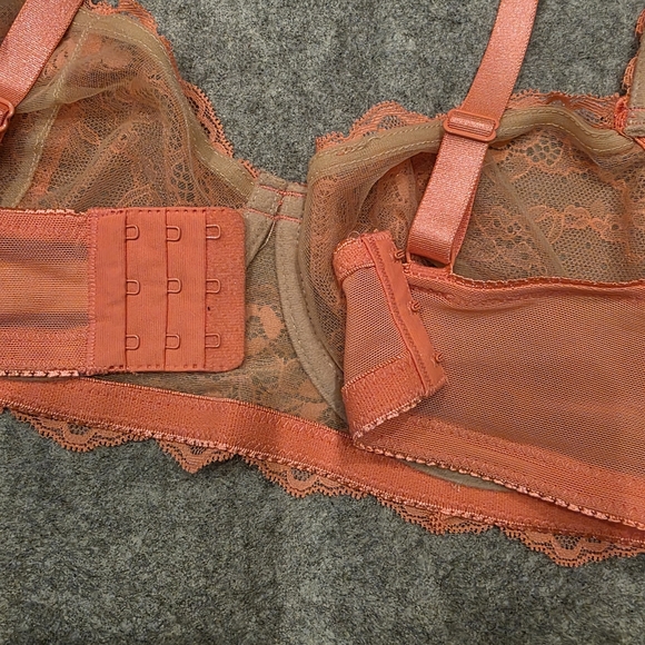 Felina Lace Bralette in Coral - Picture 3 of 6